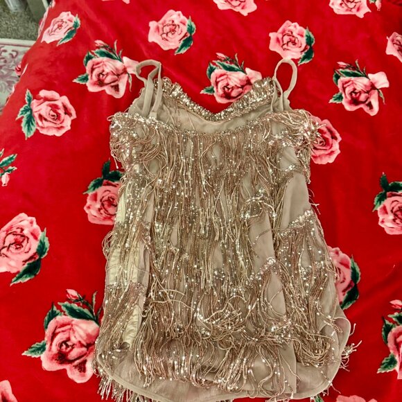 Amazing Lace Rose Gold Sequin Fringe Dress XL – Shake It My Way - Picture 7 of 9